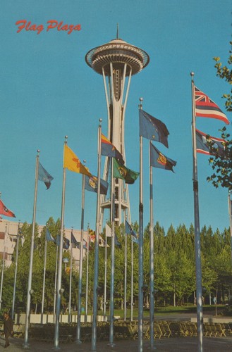 Space needle state - needle, flags